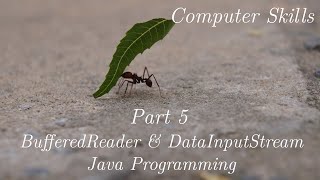 Part 5 Reading Data By BufferedReader and DataInputStream in Java Programming