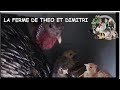 Théo : le plus grand parc ! (pour le moment) (oies, dinde, canard de barbarie)