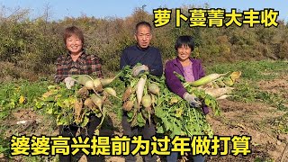 萝卜蔓菁大丰收，公婆高兴的提前为过年做打算，满满一车拉回家【倔媳妇】