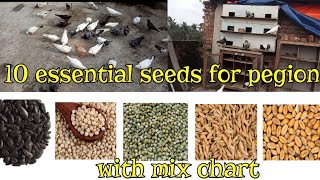 10 essential seeds for pegion / Best seed for pegion/ Best seedmix #Birds_world