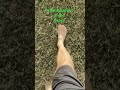 walking barefoot in the grass earthing