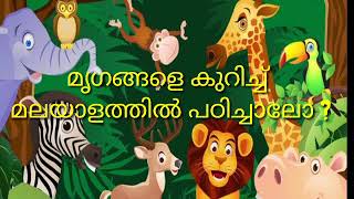 മൃഗങ്ങളുടെ പേരുകൾ മലയാളത്തിൽ  l  മൃഗങ്ങളെ കുറിച്ച് പഠിക്കാം lAnimal names in Malayalaml Daddy Boys