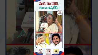 నెలకు రూ.1500 .. ఇంకా ఇవ్వలేదు ! Old Women Comments On CM Chandrababu #shorts #apnews #publictalk