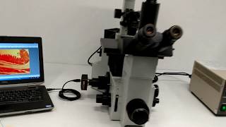 Olympus IX70 Inverted Fluorescence Phase Contrast Microscope [BOSTONIND] - 14981