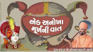 એક અનોખા મૂર્ખની વાત | Pu. Hariswarupdasji Swami | Bhaj Govindam । Daily Satsang