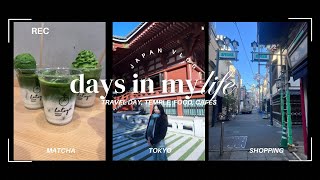 Japan vlog ⋆𐙚₊˚⊹♡: first days in Tokyo, shopping, pig cafe, matcha, temples, and travel day