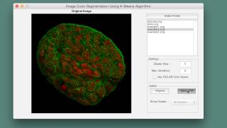 Matlab - Image Segmentation Using K-means Algorithm