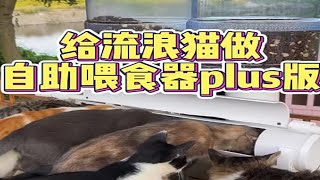 我用旧水管给猫咪们做了一个自助喂食器plus版 #关爱流浪猫  #猫咪喂食器   #每个生命都应该被尊重 