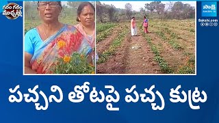 TDP Leaders Huge Damaged marigold flower Plants | Garam Garam Varthalu | @SakshiTV