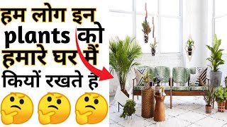 घर मैं क्यों रखते है | Amazing Facts | Interesting Facts | #Shorts#Short #YoutubeShorts #Anandfacts