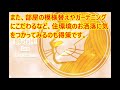 【今週の運勢 12星座占い ランキング】2018年10月29日～11月4日 12星座別にランキング形式で今週の運勢をお届けします　【癒しの空間】