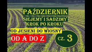 PAŹDZIERNIK -SIEJEMY I SADZIMY, KROK PO KROKU - OD JESIENI DO WIOSNY, OD A DO Z, CZ 3