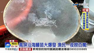 高屏沿海鰻苗大爆發 漁民一夜撈百萬!│中視新聞 20191217