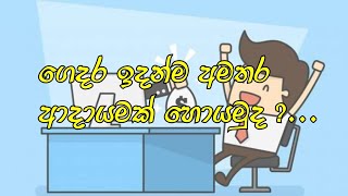 ගෙදර ඉදන්ම අමතර ආදායමක් හොයමු| make extra income | H\u0026H.