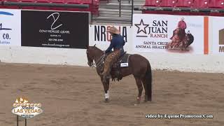 Shesa Smokin Cat ridden by Susan S. Modic - 2018 NRCHA Stallion Stakes (Rein/Cow, NP Two Rein Spec.)