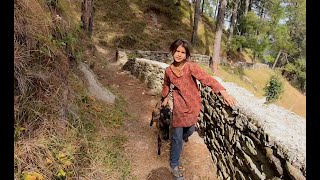 A walk inside the Binsar wildlife sanctuary and it's villages | Offbeat Uttarakhand