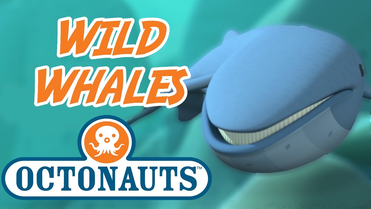 Octonauts | Wild Whales Compilation | Whale Cartoon For Kids - YouTube