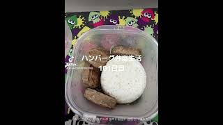 ハンバーグ弁当生活101日目#お弁当