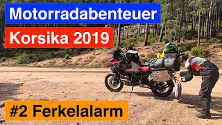 #2 Korsika 🇫🇷-  Motorradabenteuer 2019 - Ferkelalarm