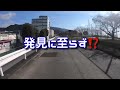 【ロードバイク サイクリング】酒匂川サイクリングロードを初めて走る❗️