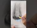 How to draw noses #arttips #howtodraw #pencildrawing #traditionalart l