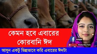 কেমন হবে এবারের কোরবানি ঈদ | আসুন একটু ভিন্নভাবে করি এবারের ঈদটা | ঈদ হউক সবার জন্য | কপিরাইট ফ্রি