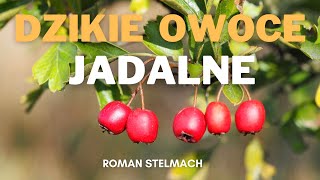 Dzikie owoce jadalne