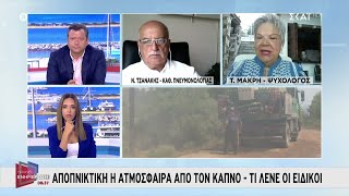 Τζανάκης σε ΣΚΑΪ: Πότε αναμένεται ύφεση της πανδημίας; Χωρίς μάσκες τον χειμώνα, αν εμβολιαστούμε