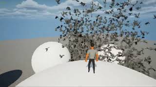 Flocking Test