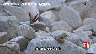 #武夷山国家公园 “昆虫世界”