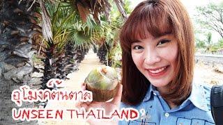 อุโมงค์ต้นตาล unseen thailand