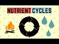 IGCSE BIOLOGY REVISION [Syllabus 20] - Nutrient Cycles