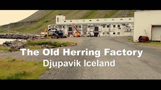 The old herring factory | Djupavik, Iceland