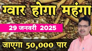 29 जनवरी 2025, गुआर का ताजा भाव।ग्वार का भाव आज का।Guar ka taza bhav aaj ka. Guar taza bhav today.