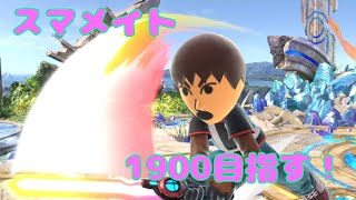 【スマブラSP】Miiスマメイト