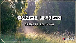 갈보리교회(자양동) 2021.07.28(수). 새벽기도회