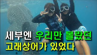 [수상마을 71] 필리핀 세부 텐트촌 수상마을 세부엔 우리만 몰랐던ㅣ고래상어가 있었다