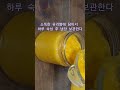 [건강차]구멍난 뼈를 채워 주는 귤 먹는법🍊골다공증에 최고