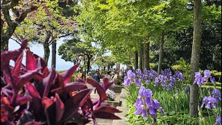 Villa CIMBRONE entriamo nella bellissima