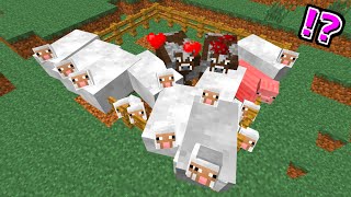 【マイクラ】動物が食べ過ぎで太っちゃった！？【ゆっくり実況】【マインクラフト】#Shorts