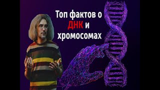 Топ фактов о ДНК и хромосомах. Константин Северинов.