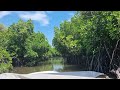 Boating in Pichavaram Mangrove Forests | Pichavaram | Chidambaram | Tamil Nadu| Pondicherry daytrip