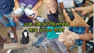 নোয়াখালী দত্তের হাট কবুতর বাজার। #Kobutor_Mela