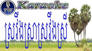 ស្រវឹងស្រាស្រវឹងស្រី ភ្លេងសុទ្ធpleng sot  Khmer SRO VANG SRA SRO VANG SREY KARAOKE