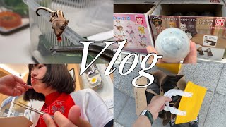 VLOG | 직장인 크레스티드 게코 일상 | 롯데리아, 마라엽떡 먹방 | 정브르 팝업스토어 | 귀뚜라미, 슈퍼푸드 피딩 | 토이저러스 피규어 털기 | 데이트 | 옷 쇼핑