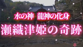 ※表示された人は今日ご覧ください！ 瀬織津姫様とご縁があります❗️ リモート参拝【早瀧比咩神社】