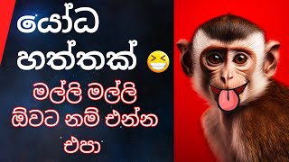 හම්මෝ ආතල් විතරයී🤣 | Animal athal katha | Sattu athal |Sinhala sattu Athal|Sinala Meme Athal