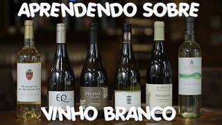 APRENDENDO SOBRE VINHO BRANCO | Divino Vinho