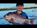 CRAZY 2020 SNAPPER SEASON! 7 year old Smashing big Snapper of Black Rock Melbourne Australia