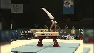 MAG Artistic gymnastics elements [C] (Stepanyan) Pommel horse (slow-mo) FIG
